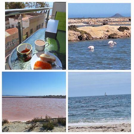 Nice Apartment With Terrace On The Los Locos Beach Torrevieja Exteriör bild