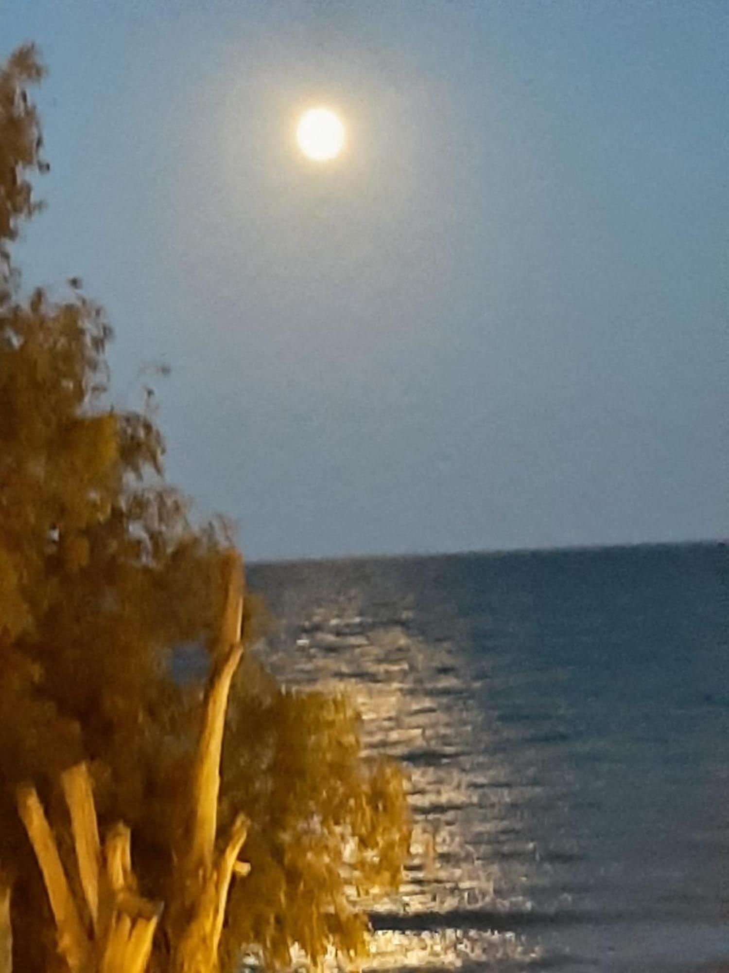 Nice Apartment With Terrace On The Los Locos Beach Torrevieja Exteriör bild